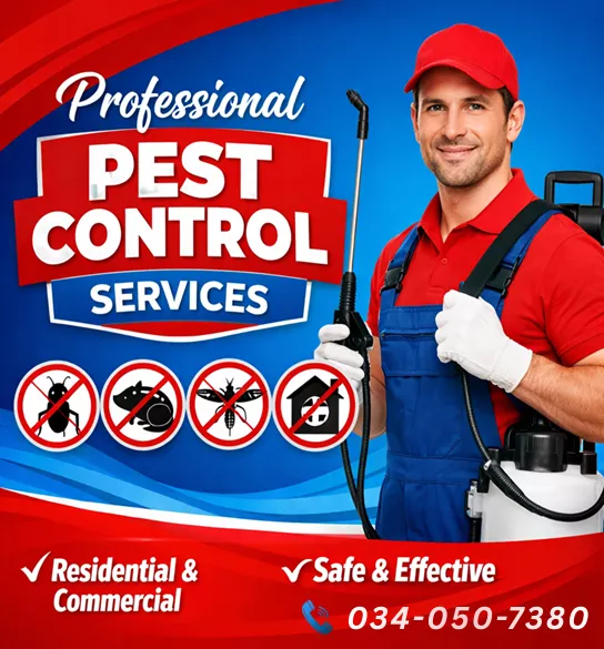 Pest Control Brooklyn - 0340507380 - Fast & Reliable Pest Control Services